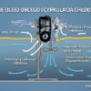 CNC Oil Skimmer F 330R – mocowany magnetycznie separator olejów obcych | głębokość 330 mm
